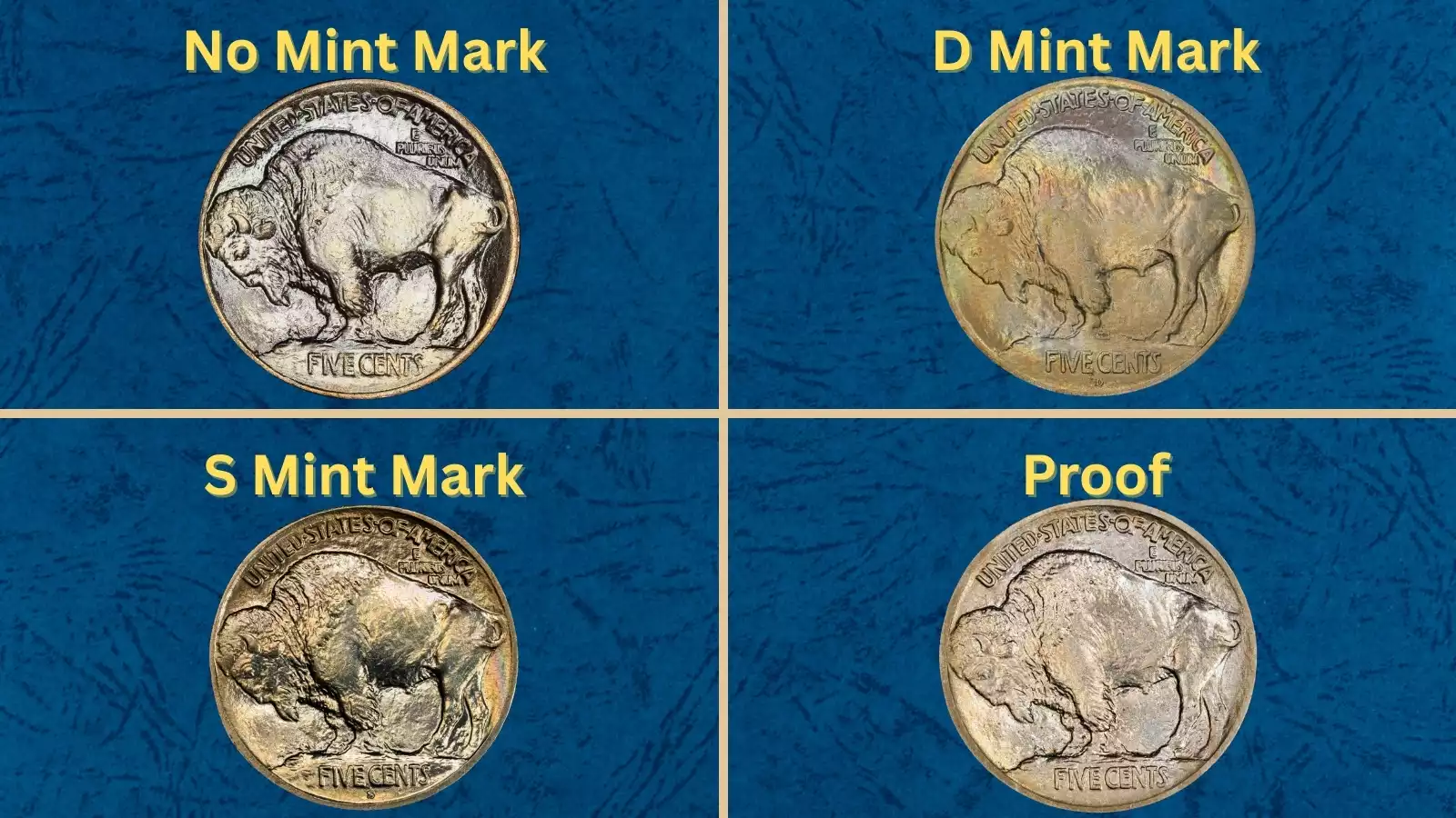 Group display of 1913 Buffalo Nickel varieties showing all six regular-strike issues across Philadelphia, Denver, and San Francisco mints